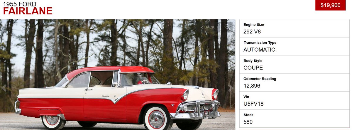 PorkRollTerrier tweet media