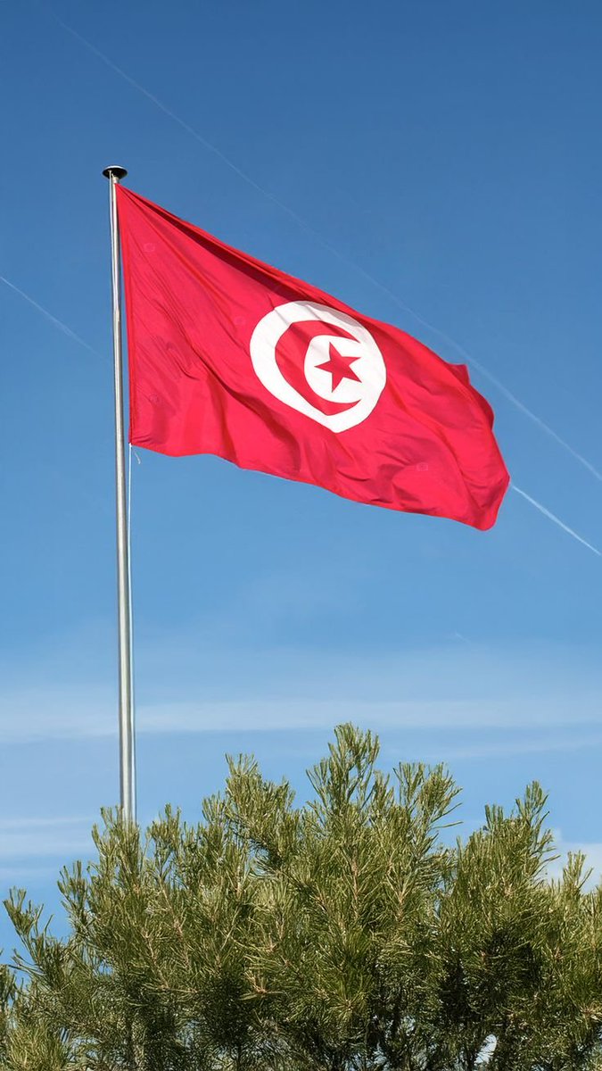 Julia Belhadj tweet media