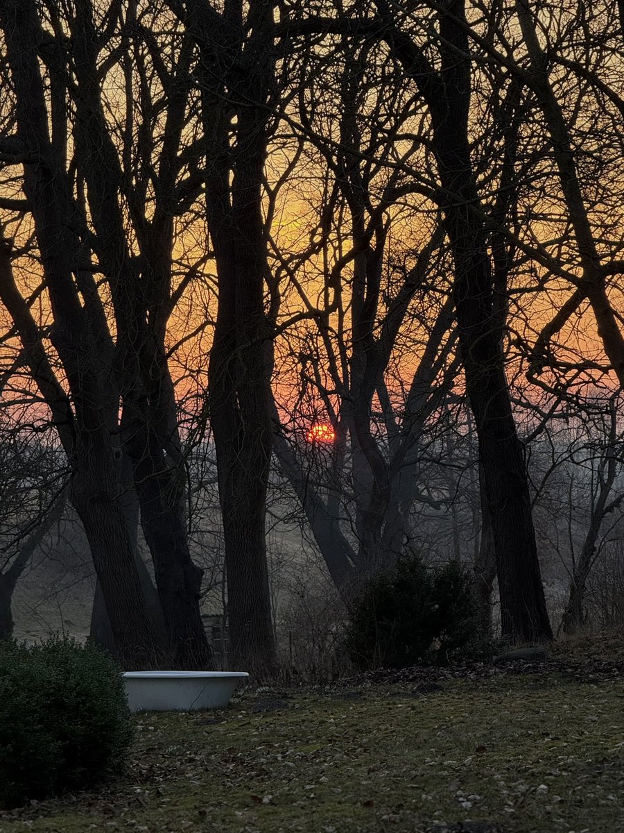 Der Graf tweet media