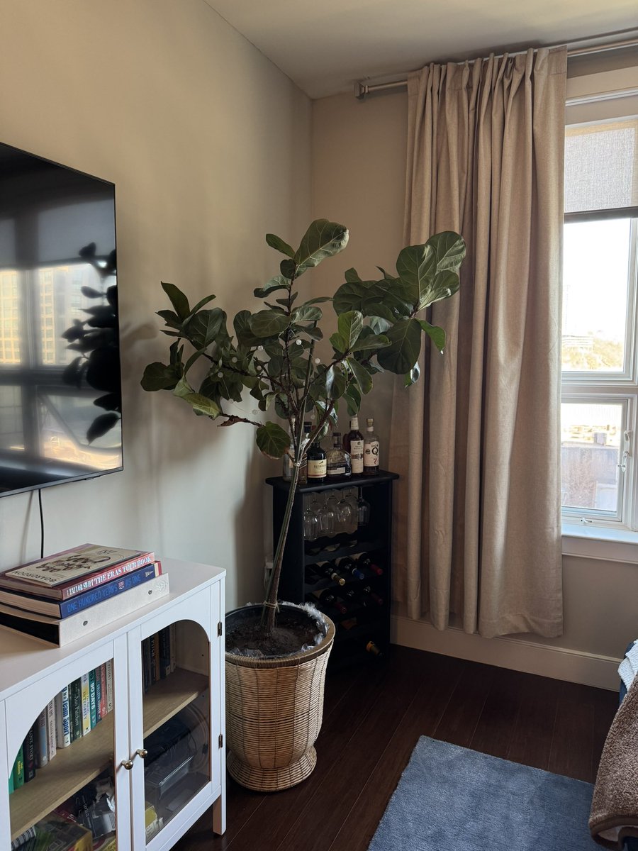 Carly McDevitt tweet media