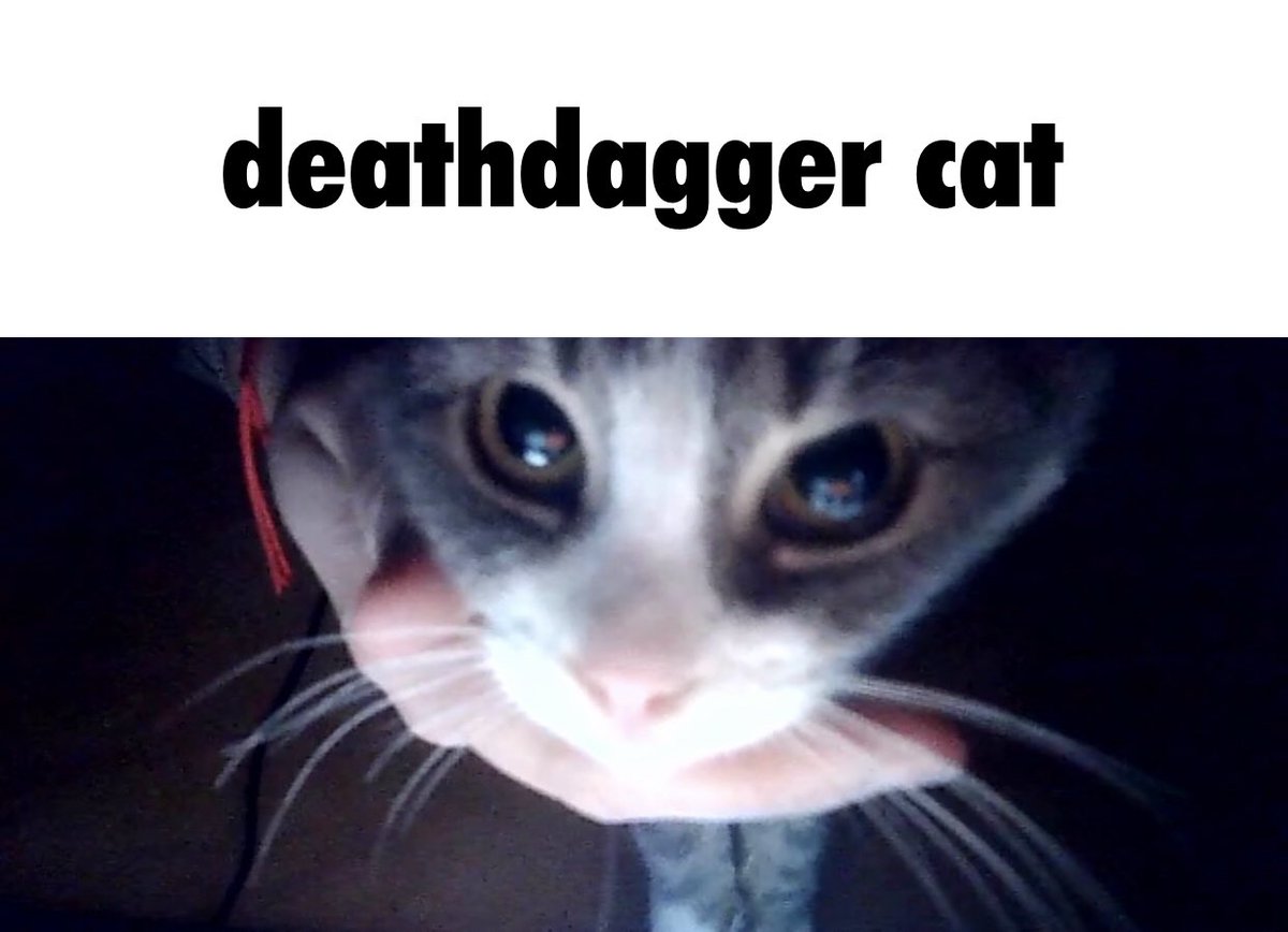 DeathDagger tweet media