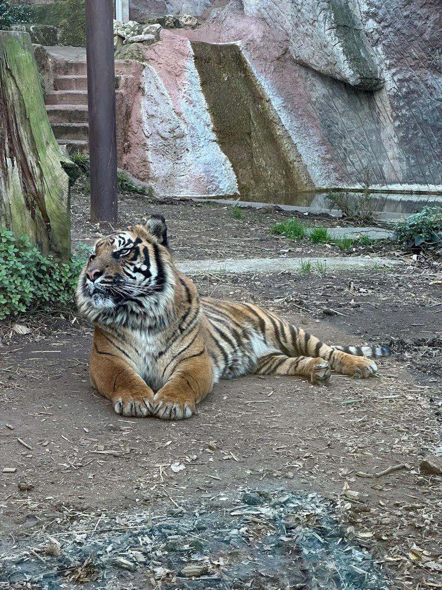 Axel 🔜 🎄🎄🎄🎄🎄 tweet media