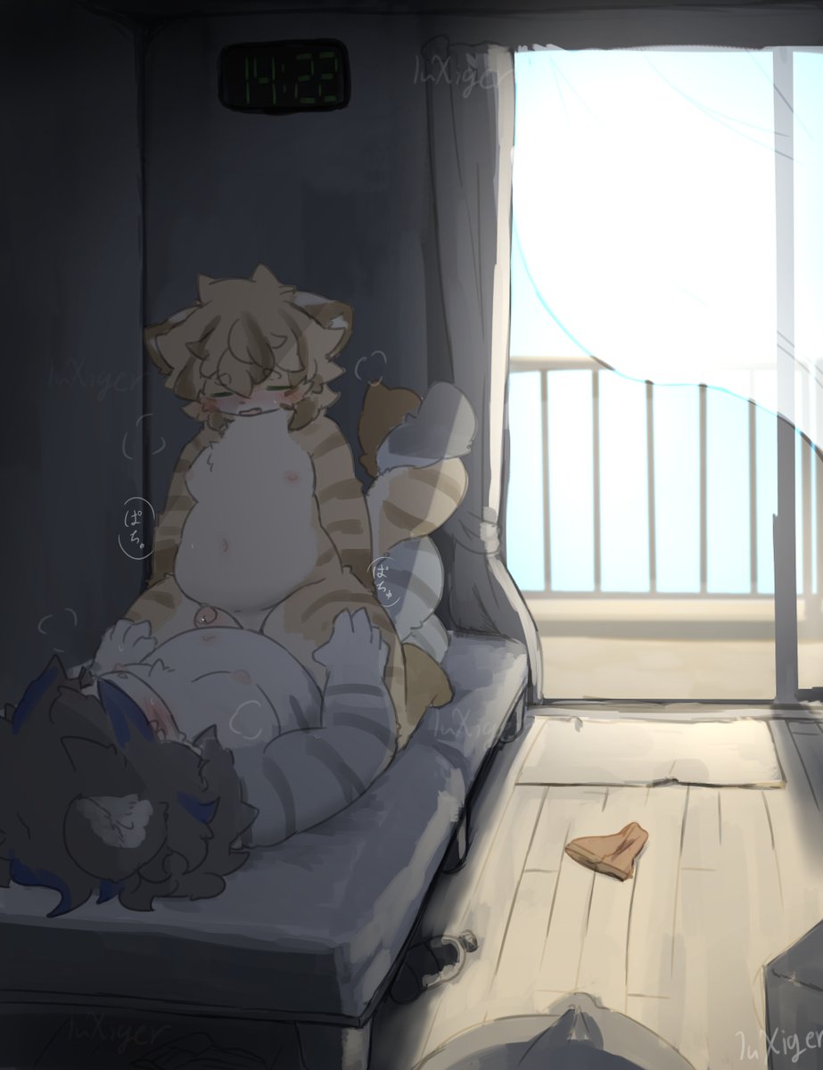 白金虎 tweet media