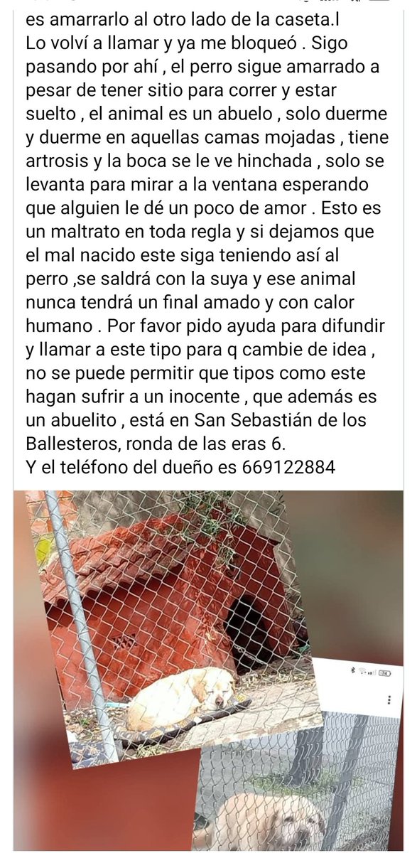 IgFC86's tweet photo. Este perrito necesita ayuda urgente en Córdoba #dogsofX #helpdogs #cordoba https://t.co/fcGkdpisE3