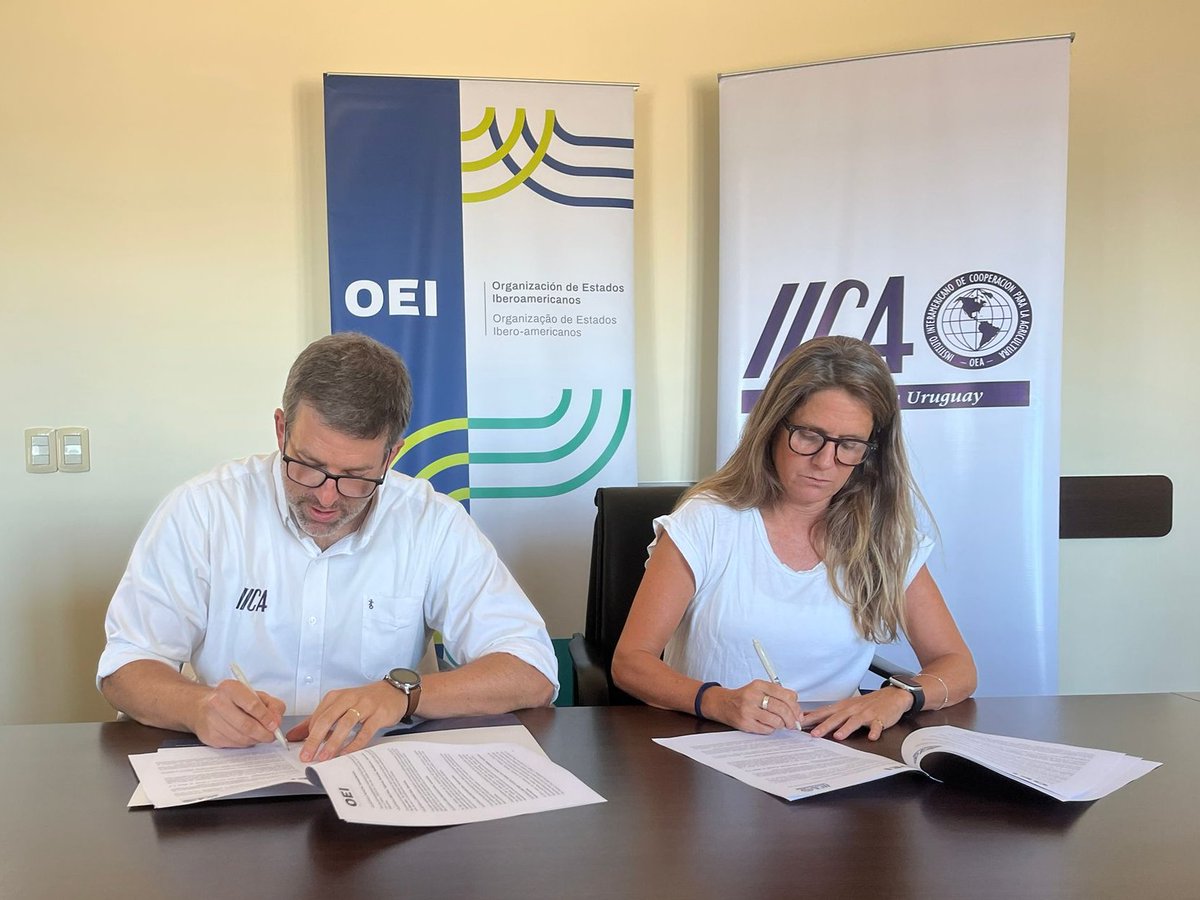 OEIUruguay tweet media