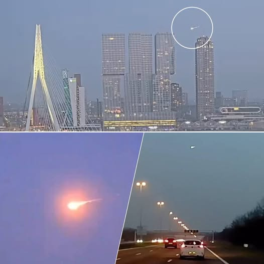 DJ Petra 🚜🚜 tweet media