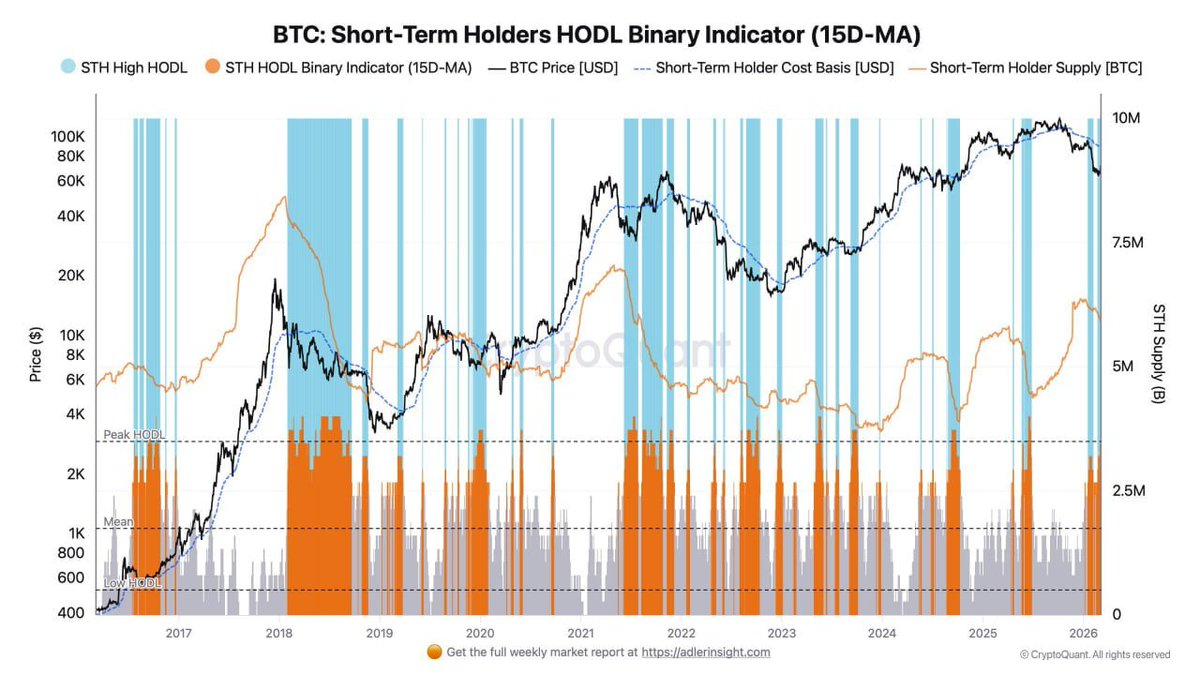 Tasso Lago tweet media