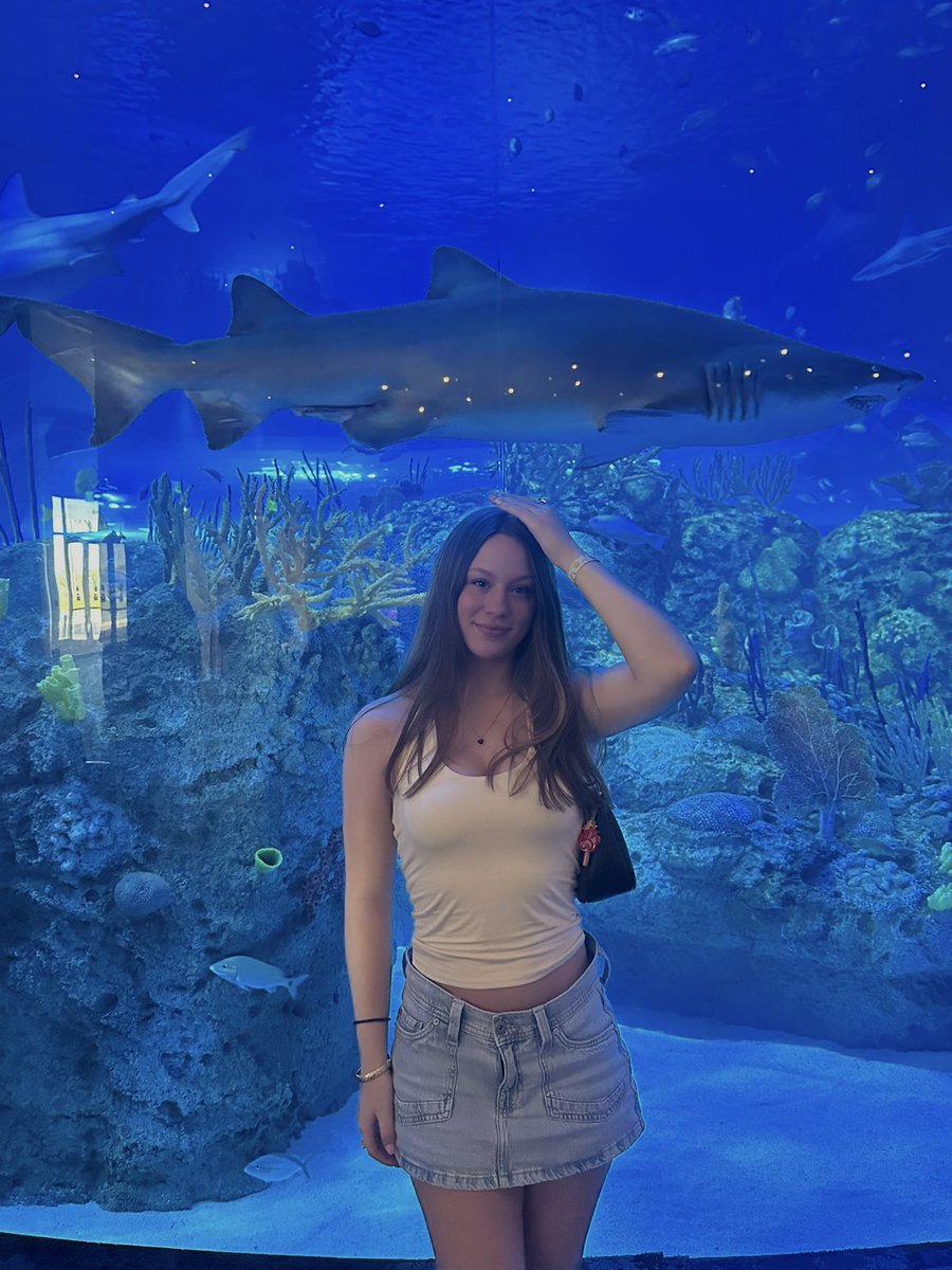 uhkelsie tweet media