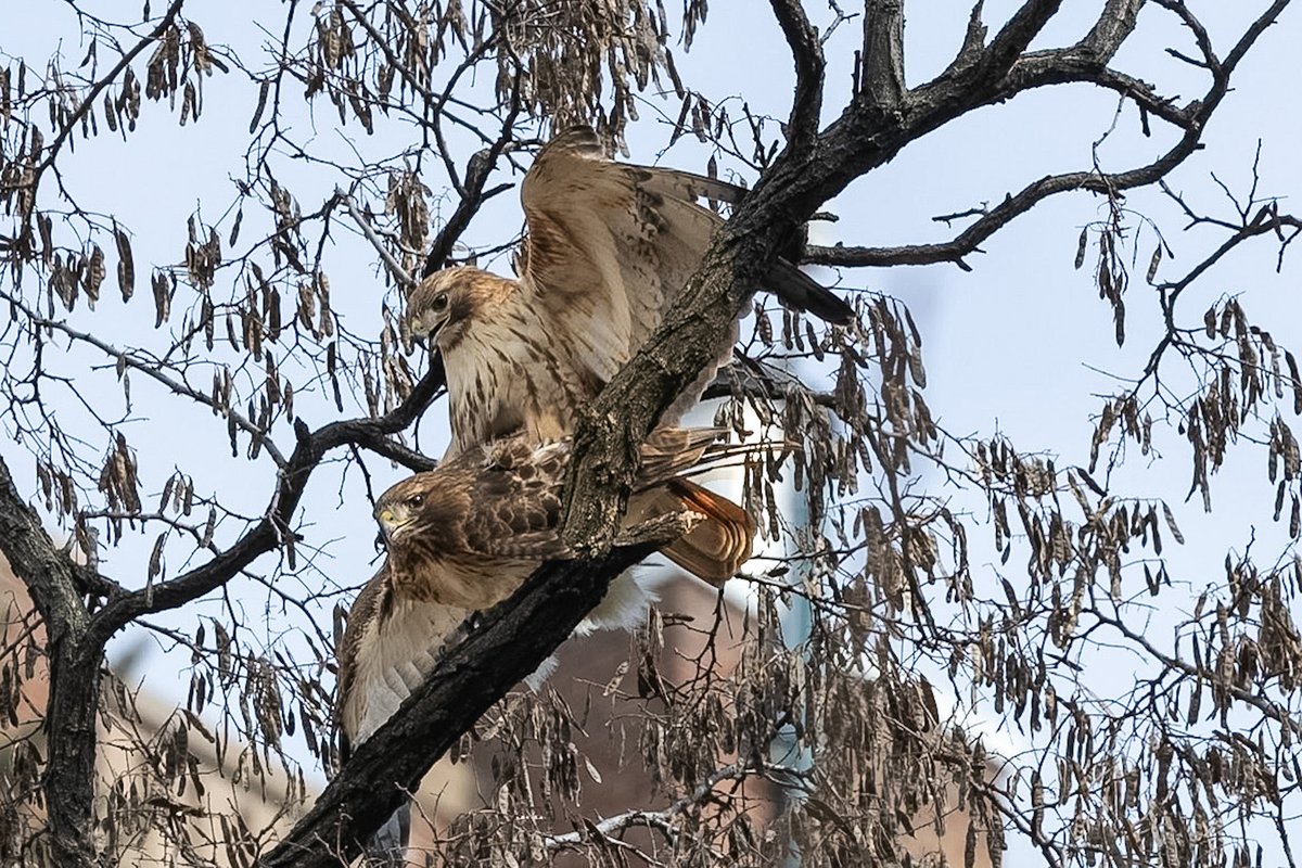 valerie block tweet media