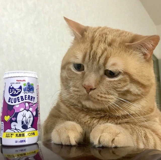 Sirk du Soleil tweet media