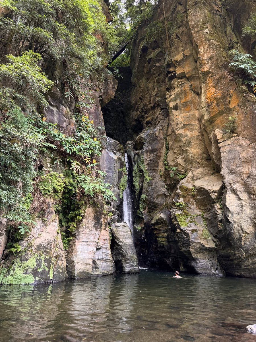 ᅟ 𝒌, 𓀀. tweet media