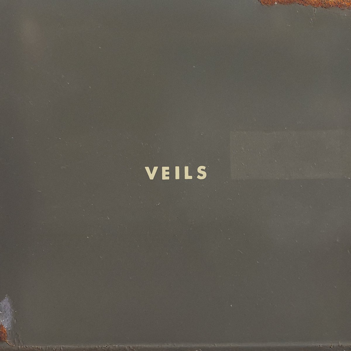 Vanessa’s forthcoming album Veils will be released on April 17th. Starting today in Vanessa’s online store you can pre-order Veils on vinyl, with shipping to arrive either on or around release day. Orders can be placed here: vanessacarlton.com/#merch