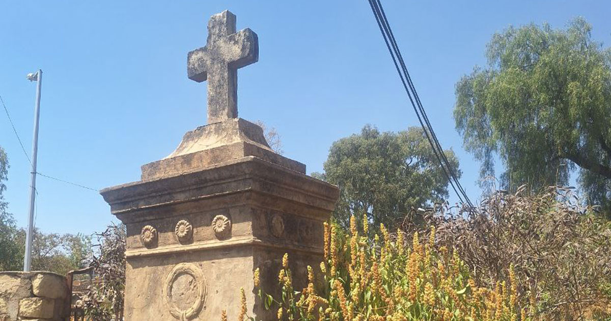 The Reporter tweet media