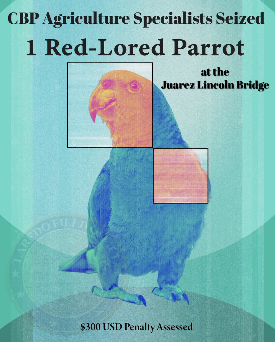 Director of Field Operations, Donald R. Kusser tweet media