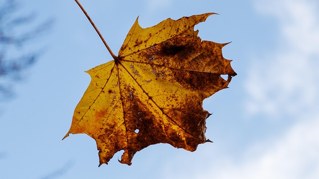 Kevin Novak tweet media