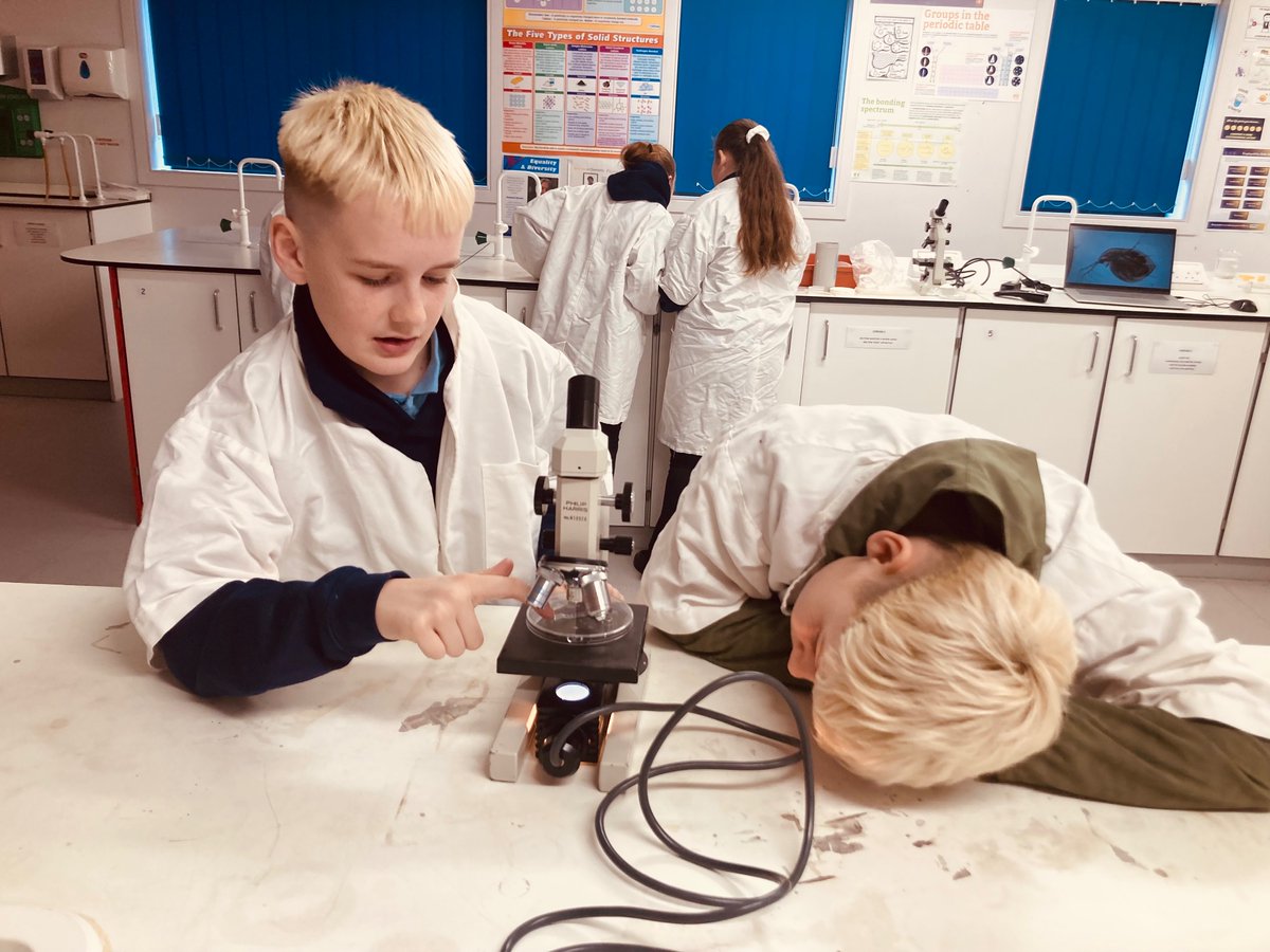 Longhill Primary tweet media