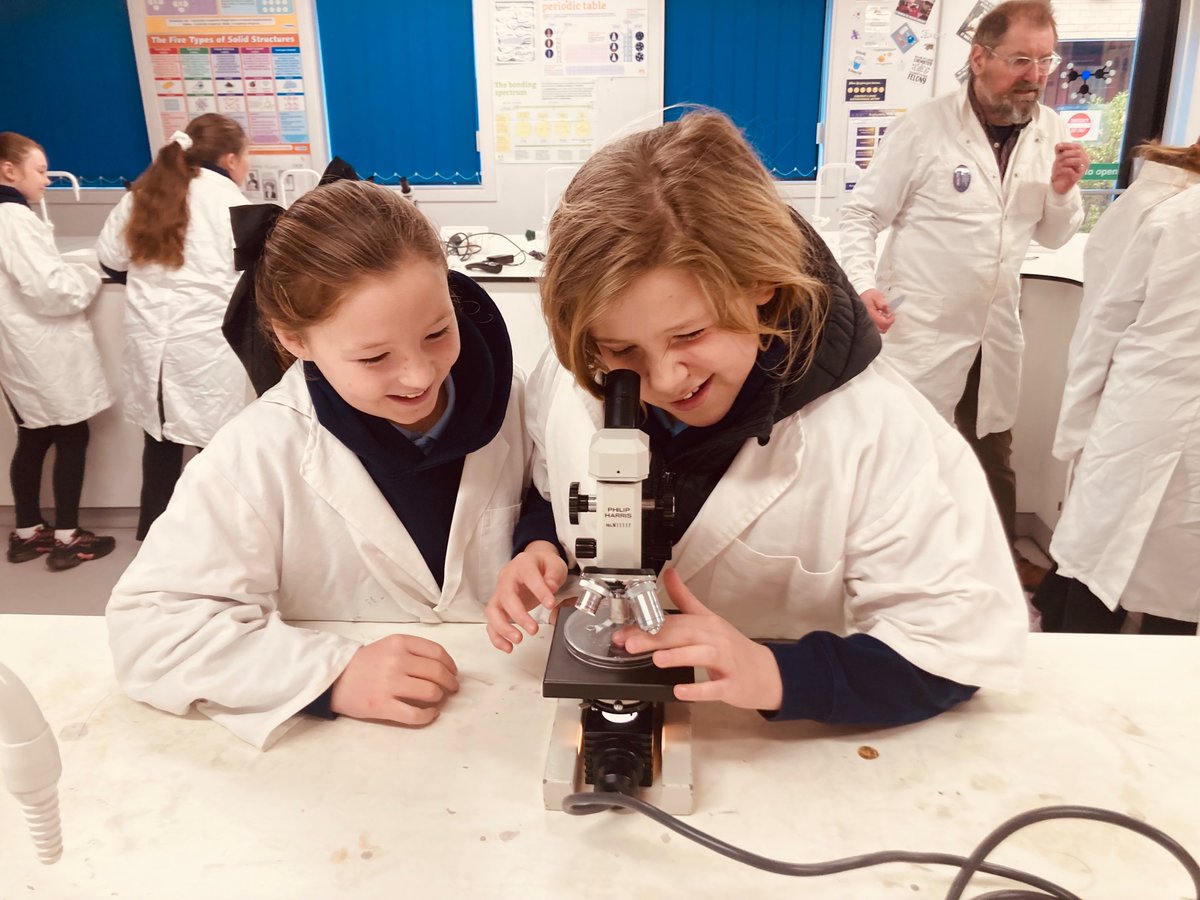 Longhill Primary tweet media