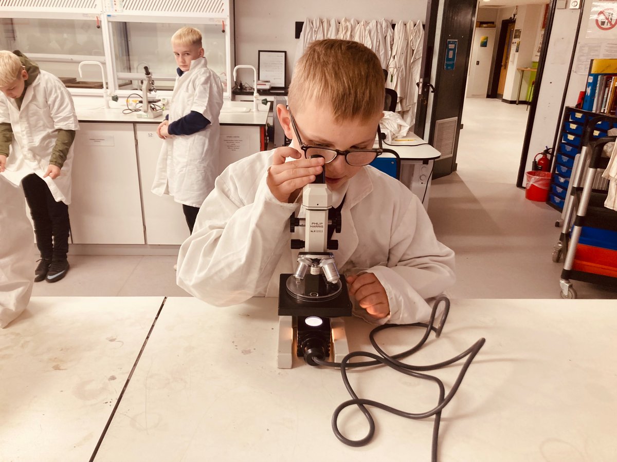 Longhill Primary tweet media