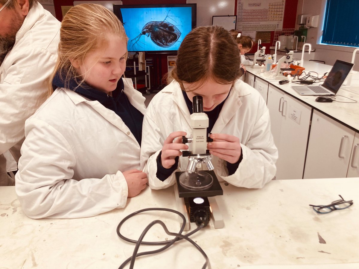 Longhill Primary tweet media