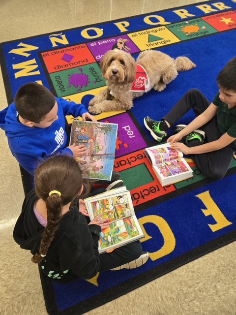 East Aurora 131 tweet media