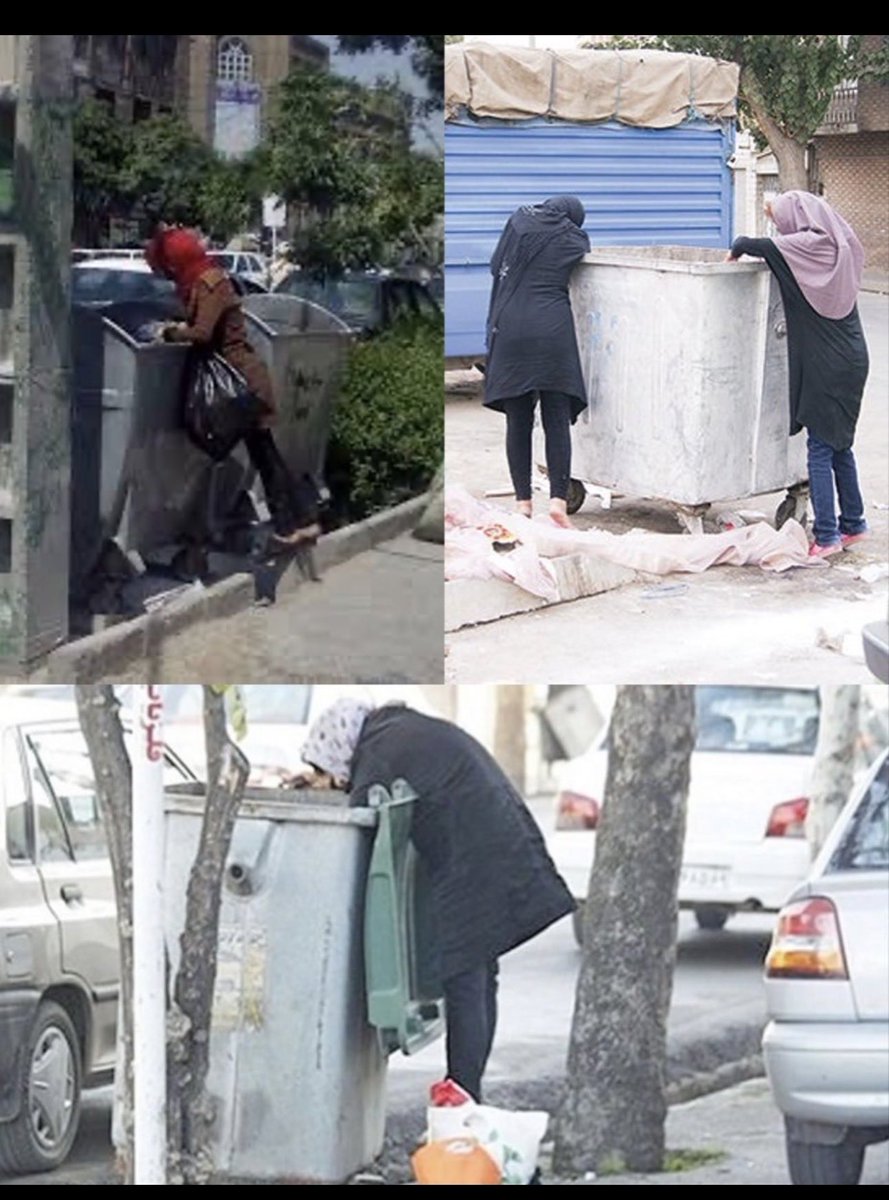 👑Fereshteh Gilaki tweet media