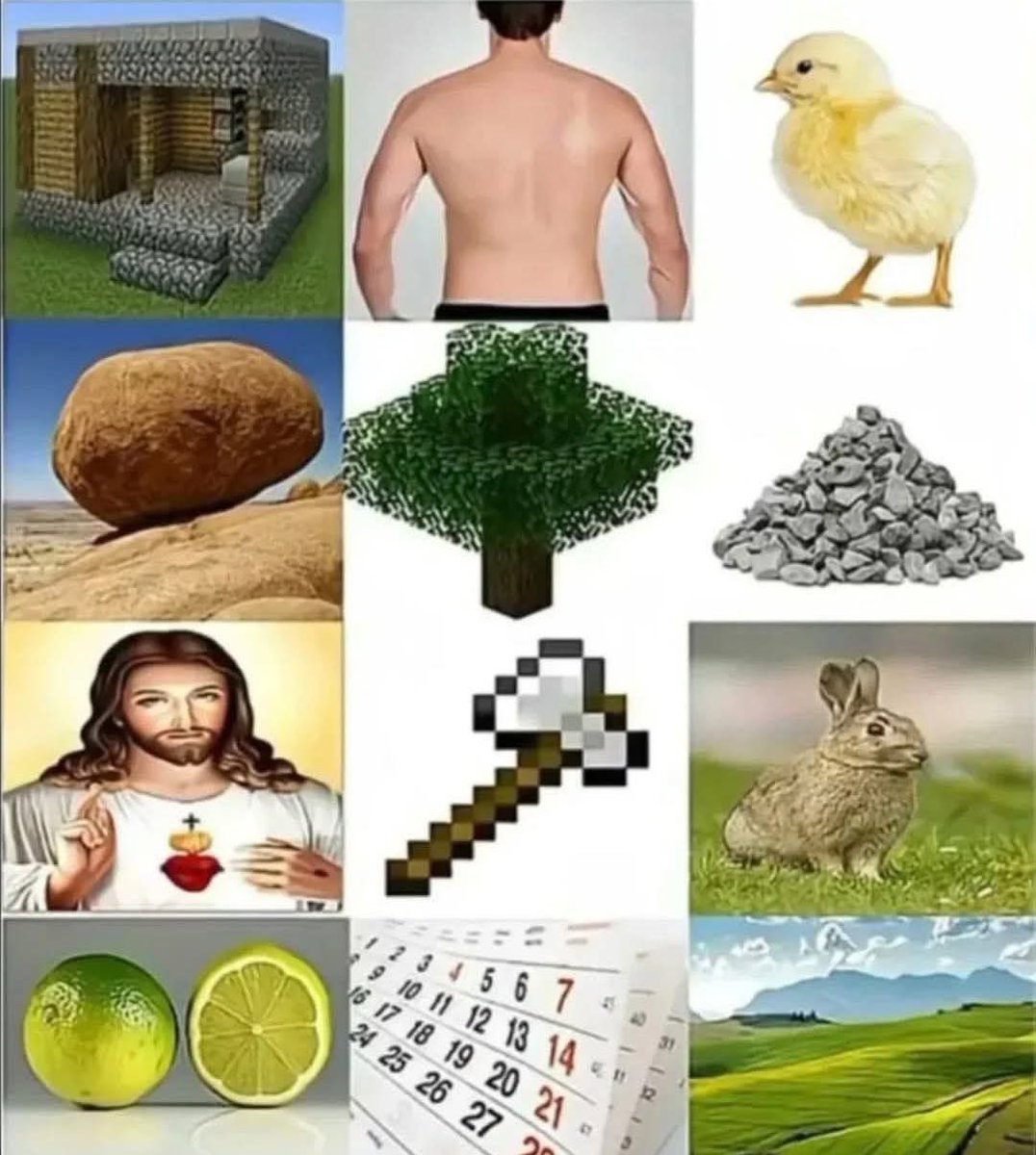 Travesti que Habla 🏳️‍⚧️ tweet media