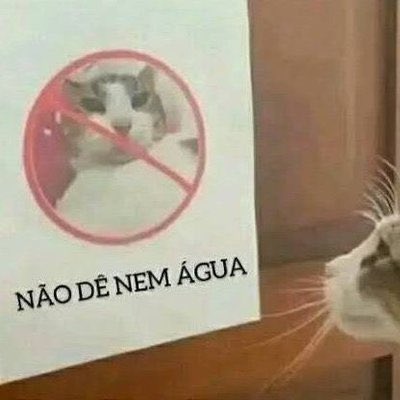mimiillkk's tweet photo. se vc quer comprar sem olhar o valor, então estude sem olhar o relógio https://t.co/nrEfRIDNuq