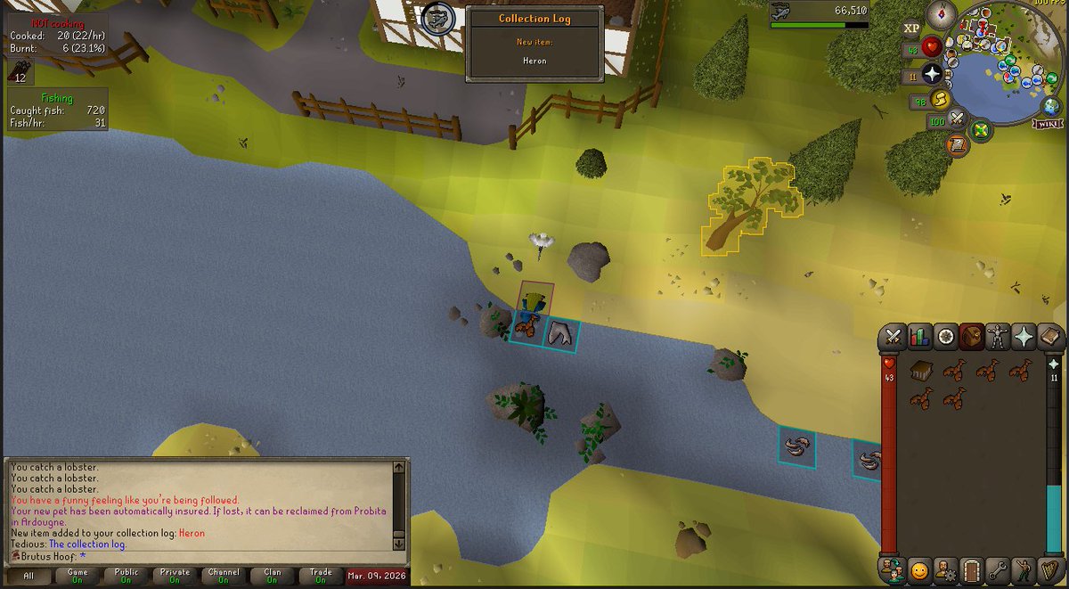 Danger Brule tweet media