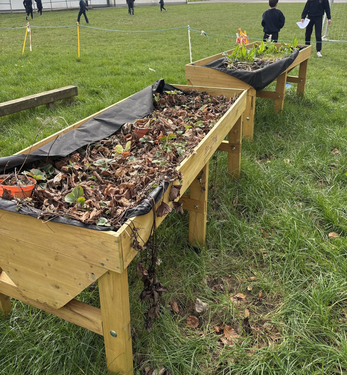 Lorena González Velasco tweet media