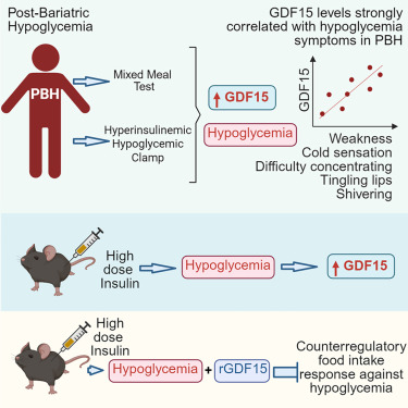 Bruno Ramos-Molina, PhD tweet media