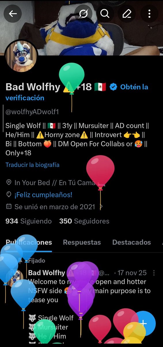 Bad Wolfhy ⚠️+18 🇲🇽 🔜 Confuror 2026 tweet media