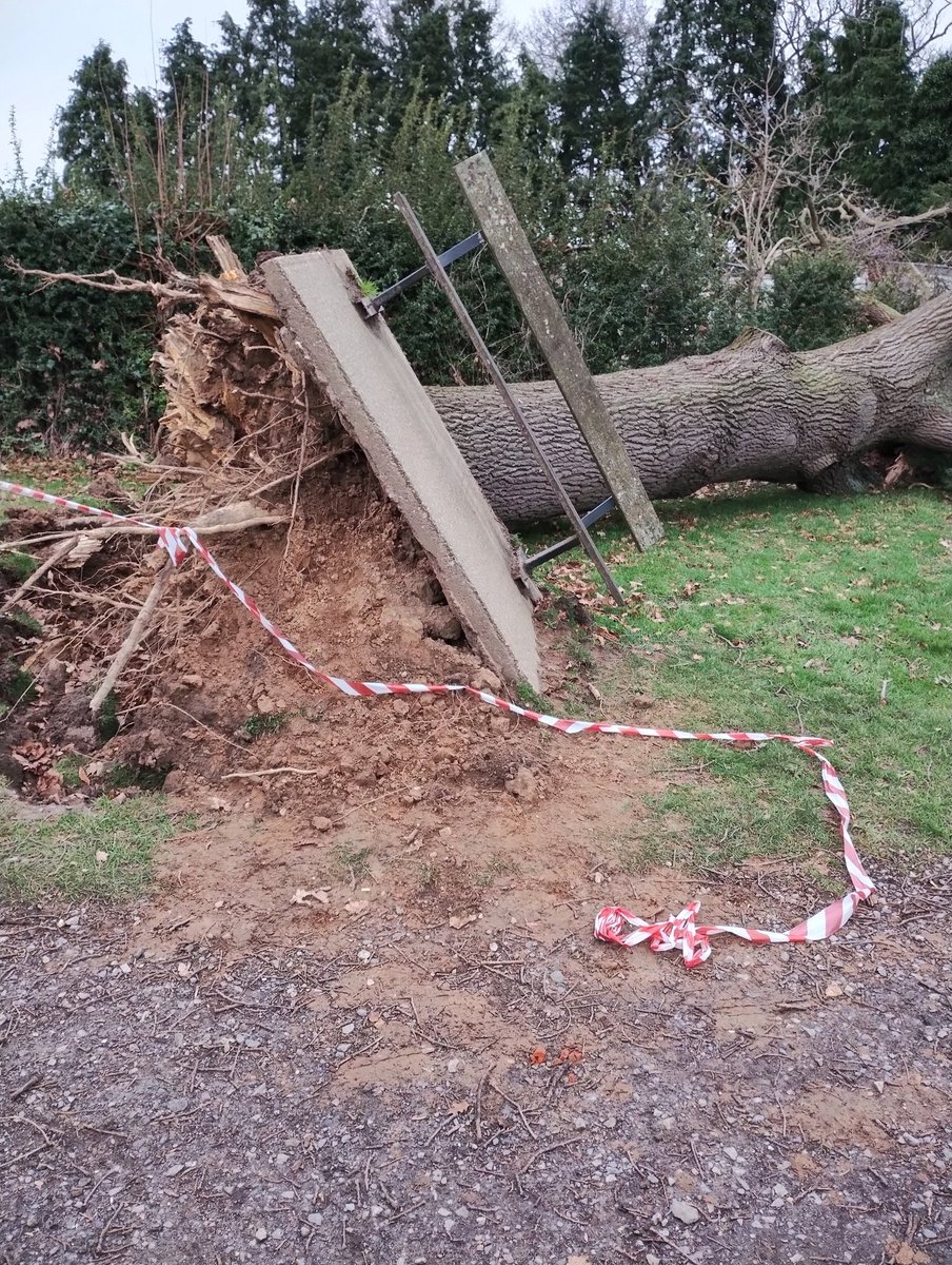 Greenways Project tweet media