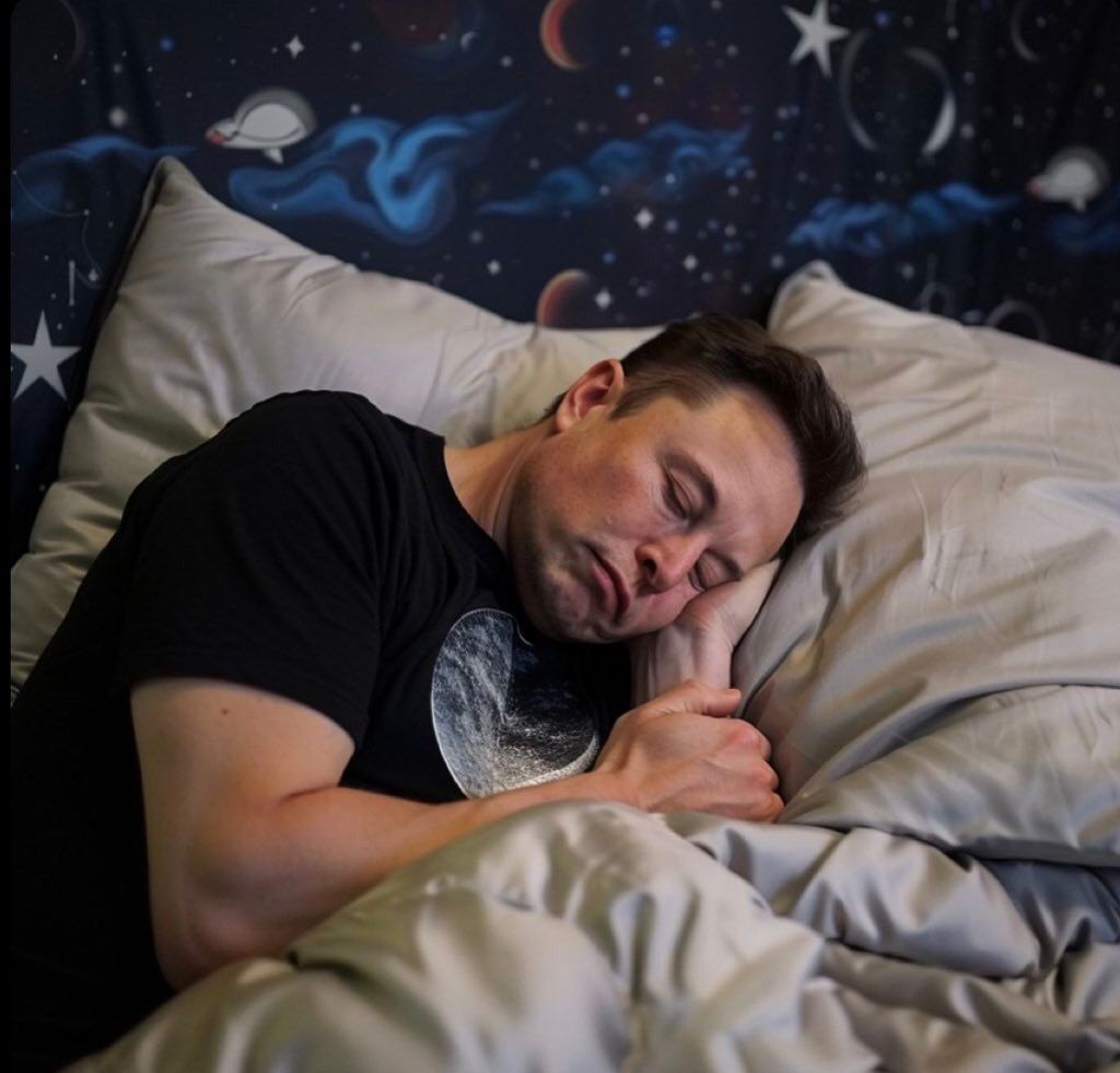 FAN ELON MUSK NEWS tweet media