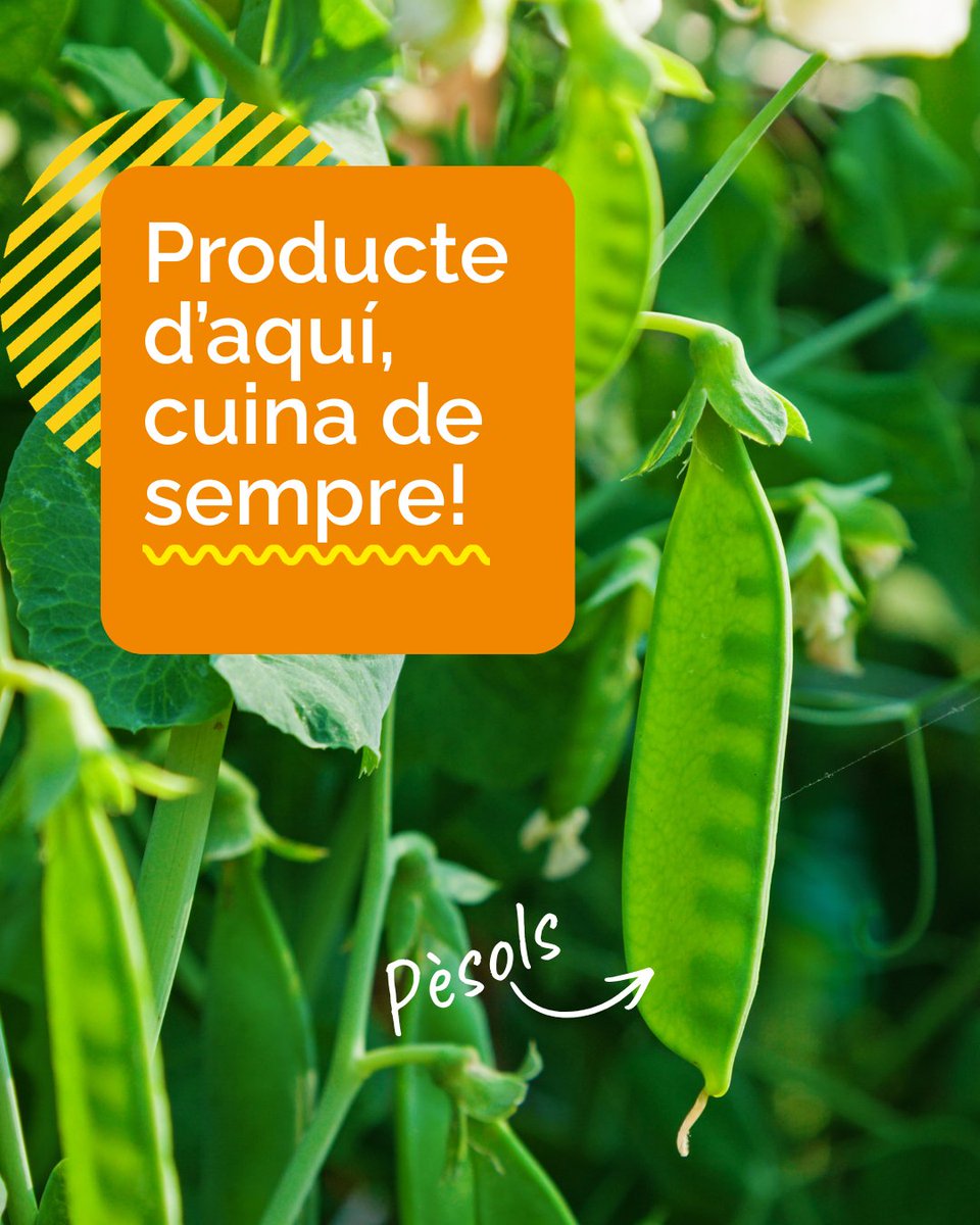 Condis Supermercats tweet media