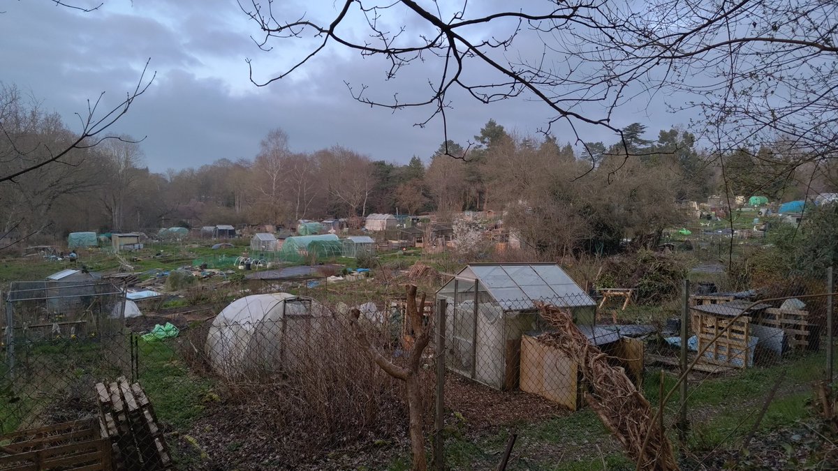 Duncan Stott 🏗️🔰🇺🇦 tweet media