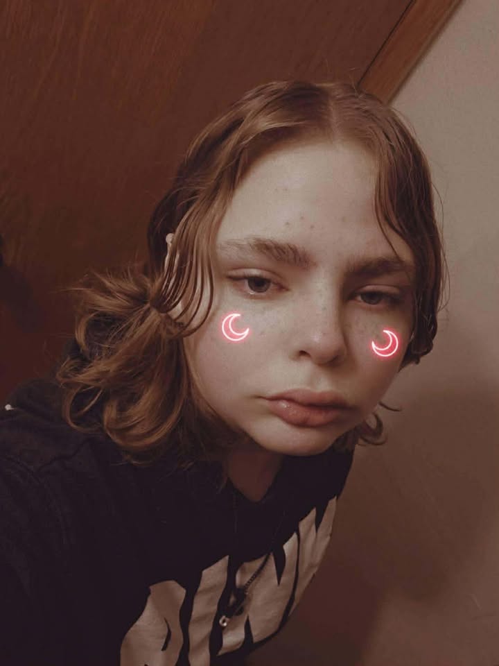 Annette Lawless 🌻 tweet media