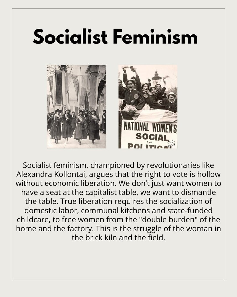 Progressive Students’ Collective tweet media