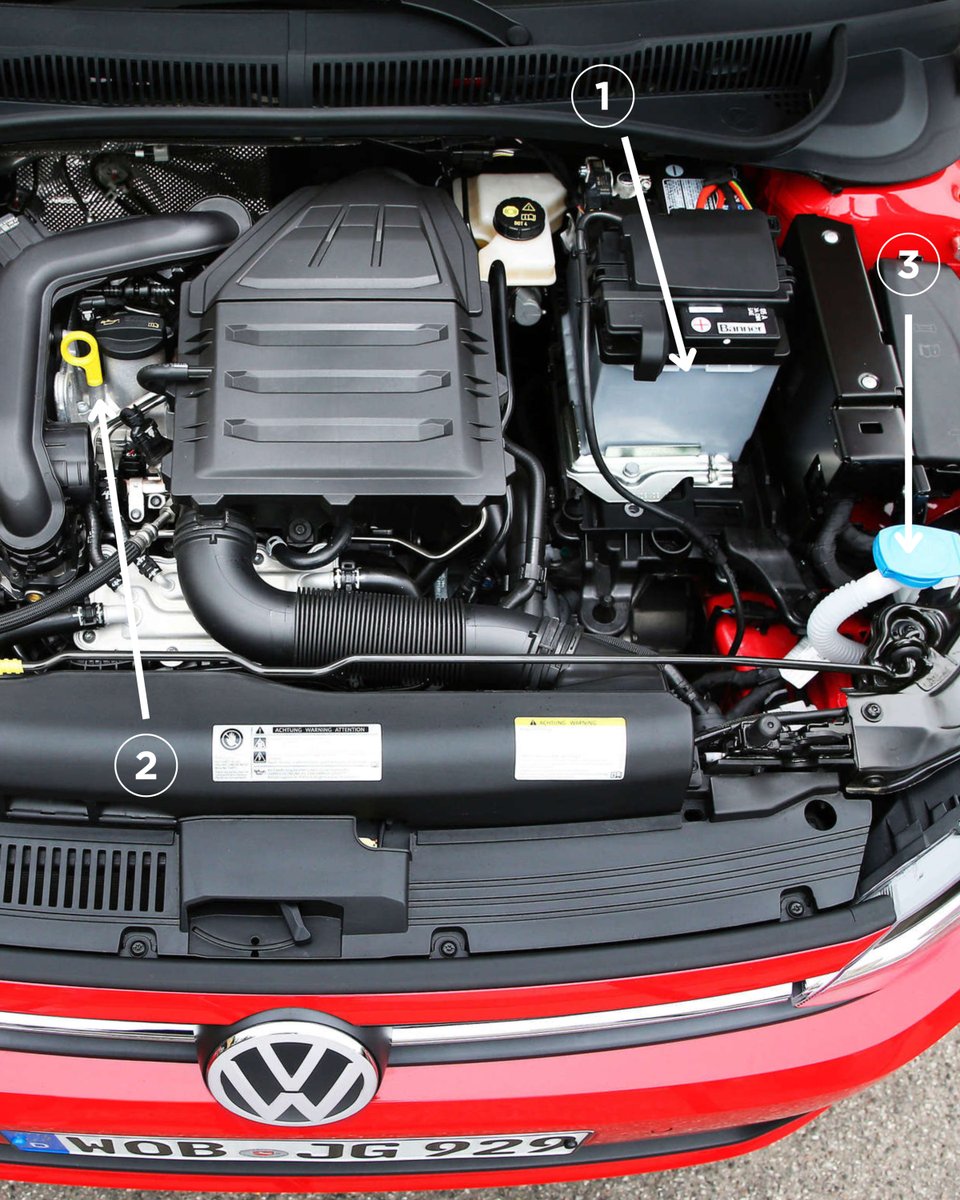 RED Driving School tweet media