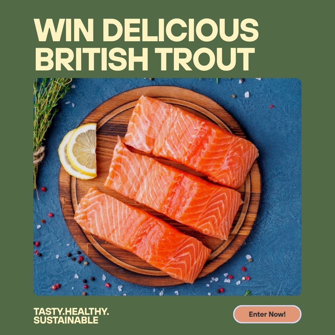 british_trout's tweet photo. 🎣 Win a box of fresh British trout — enter today!

Sustainably farmed, delicious, &amp; delivered straight to your door 🐟✨ Don’t miss out — this could be your lucky catch!

👉 Enter here: https://t.co/zHtaDztpTn

UK only | 18+ | T&amp;Cs apply
#Win #BritishTrout #PrizeDraw #FishLovers https://t.co/bzMVV34WPB