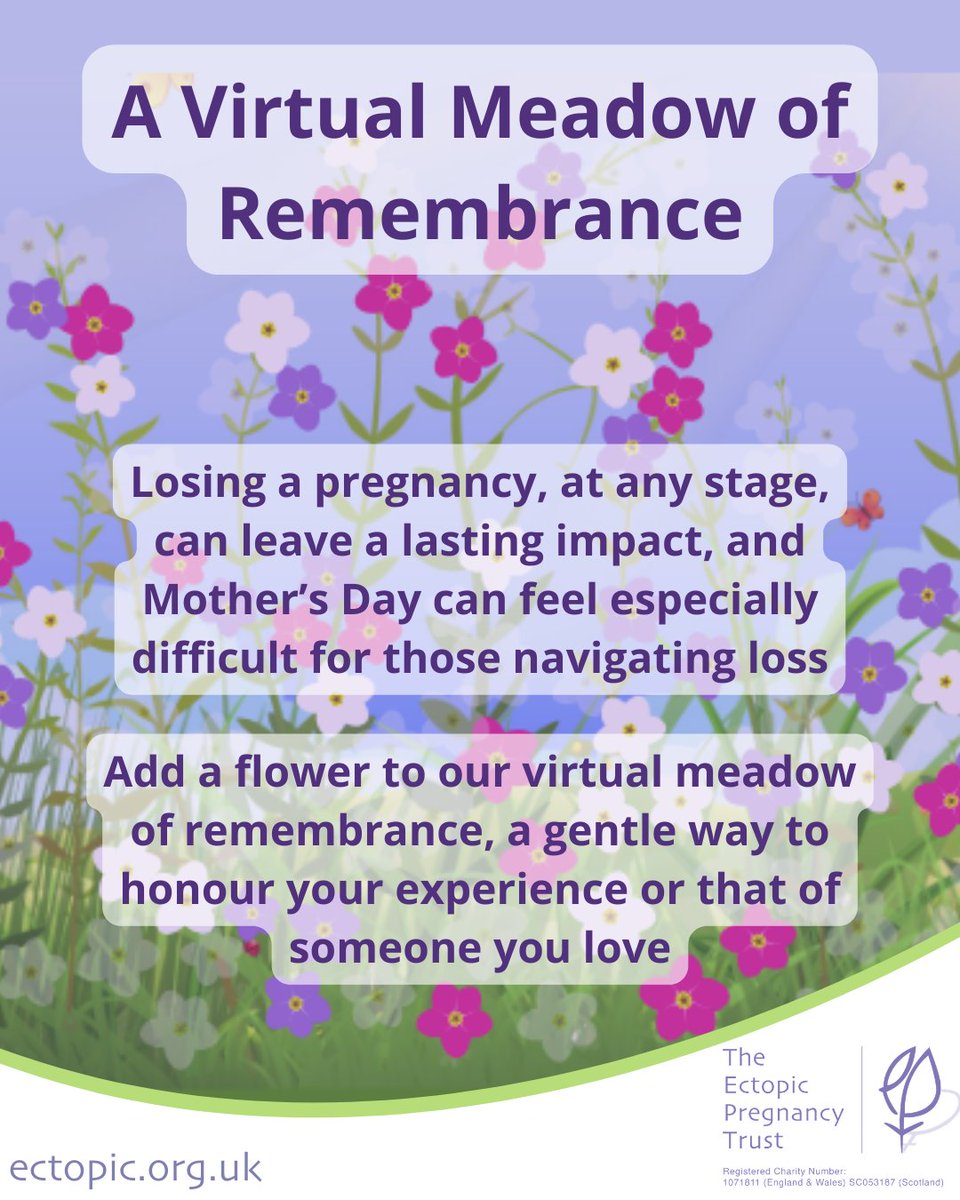 The Ectopic Pregnancy Trust tweet media