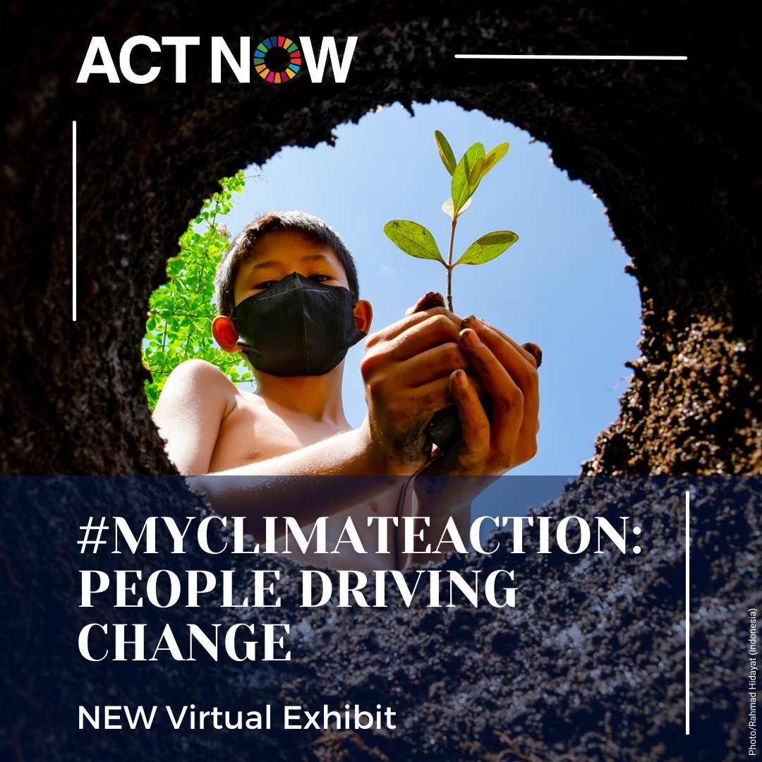 Global Goals tweet media