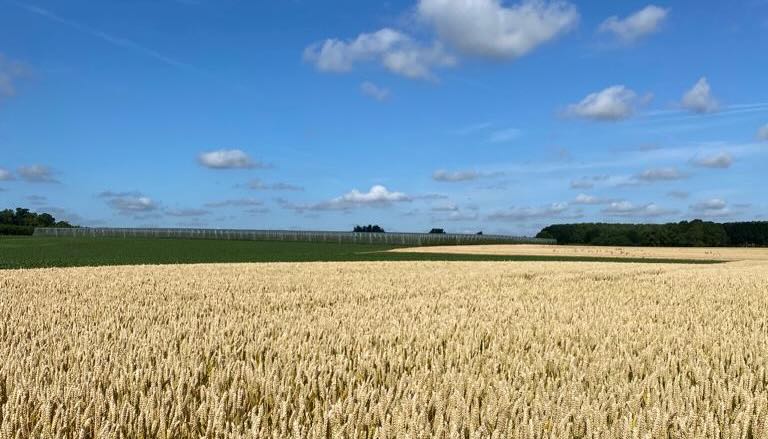 quotidianoweb1's tweet photo. Guerra e petrolio agitano i mercati: cereali, oli e commodities sotto pressione tra volatilità, geopolitica e nuove incognite globali:
https://t.co/awJlUyJNNw #Cereali #Grano #MercatiAgricoli #Mais #Soia #PrezziCereali #MercatiGlobali #Geopolitica #Petrolio #Volatilità #Economia https://t.co/YXtyCb4Skg