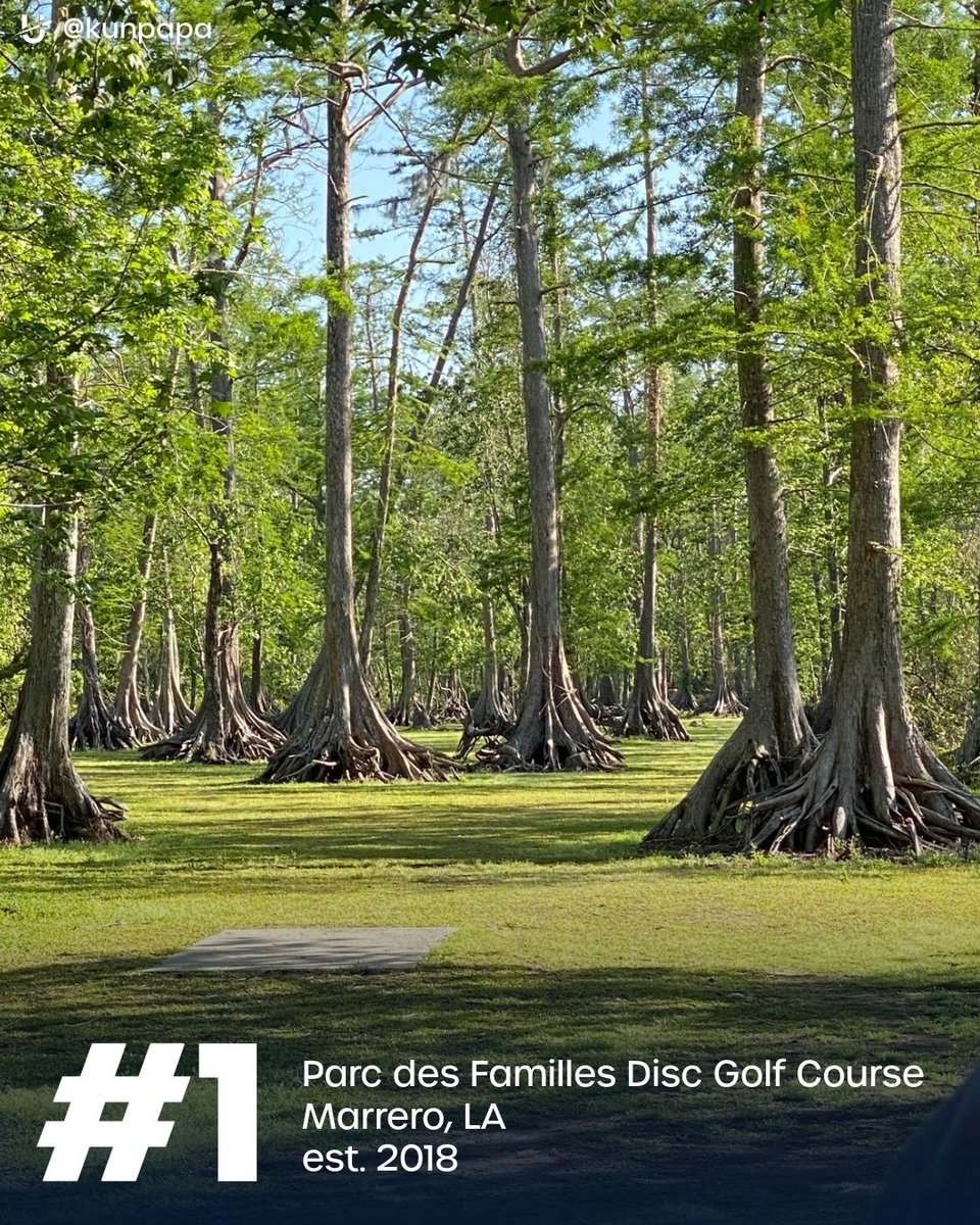 Disc Golf Pro Tour tweet media