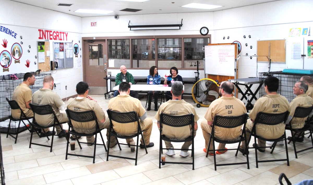 Rescued Program tweet media