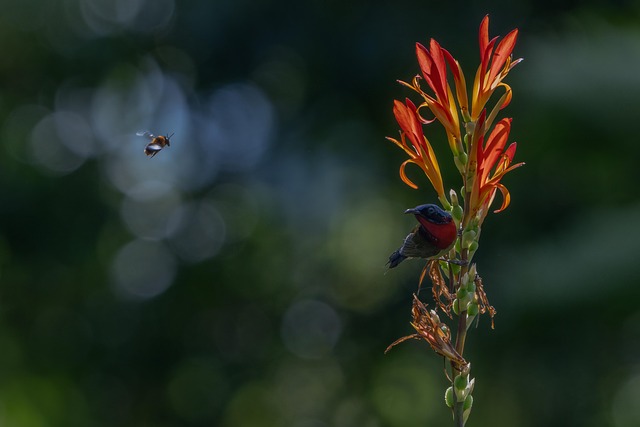 Ryan Lynch tweet media