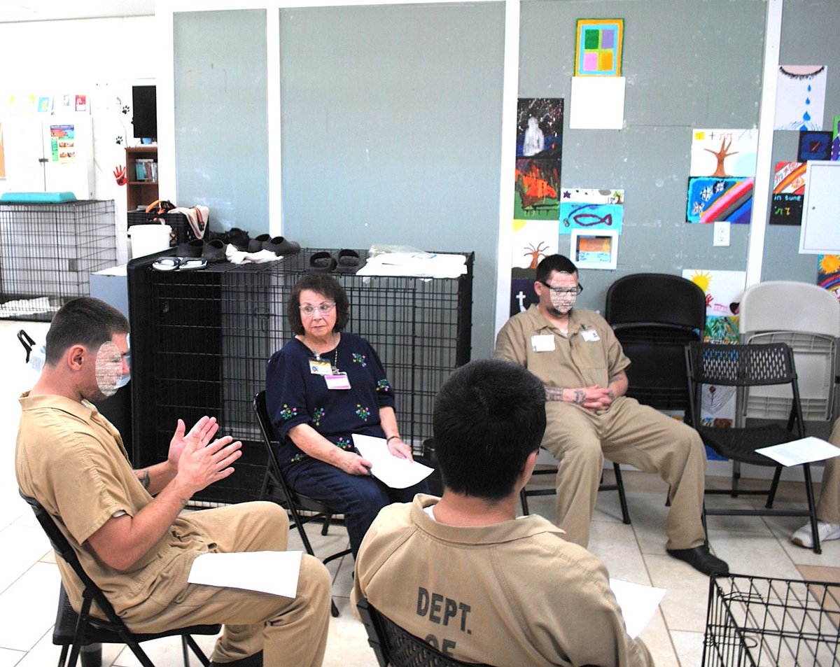 Rescued Program tweet media