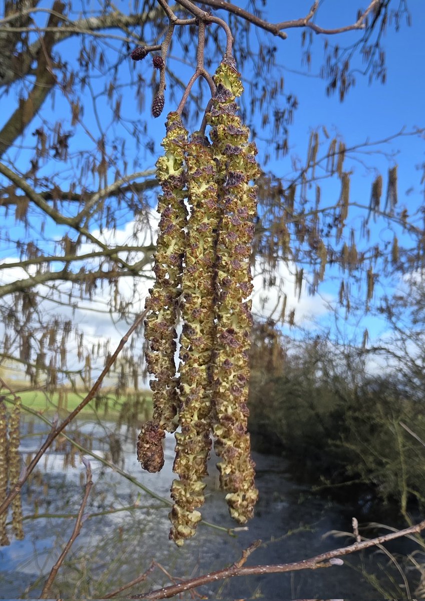 respecting nature tweet media