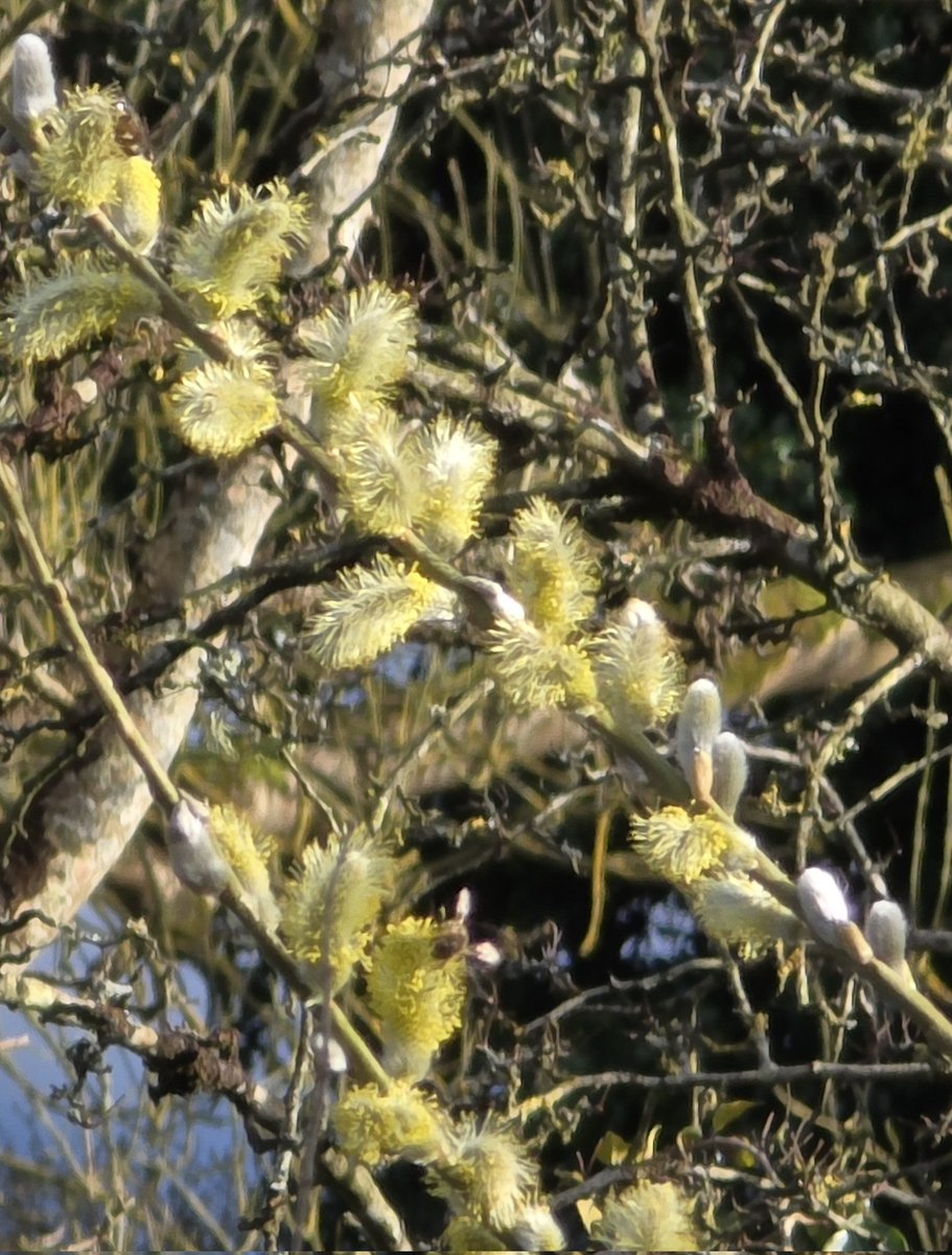 respecting nature tweet media