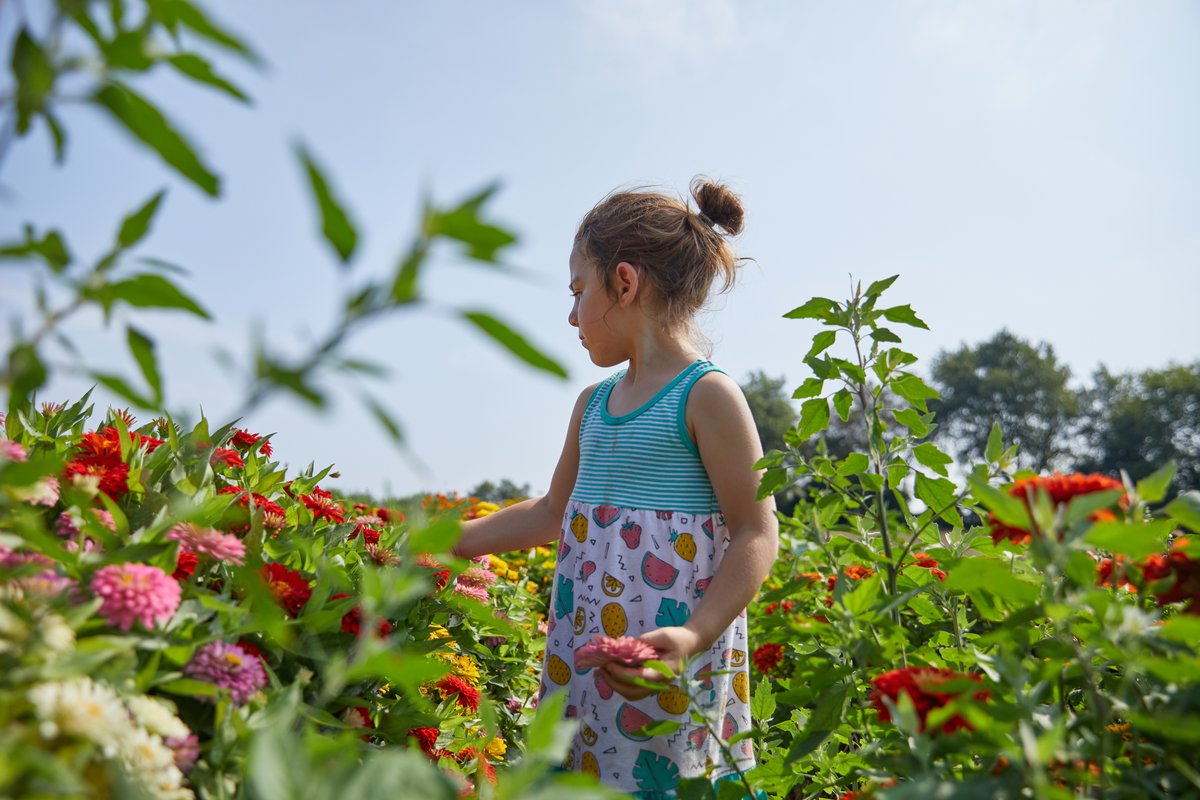 Kentucky Tourism tweet media