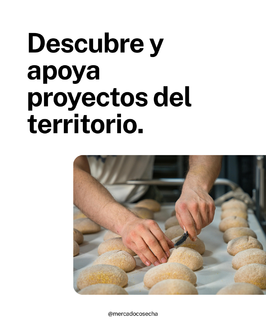 ✨ Las pequeñas iniciativas cambian grandes realidades.